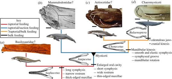 Figure 2.