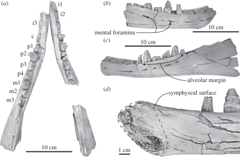 Figure 1.