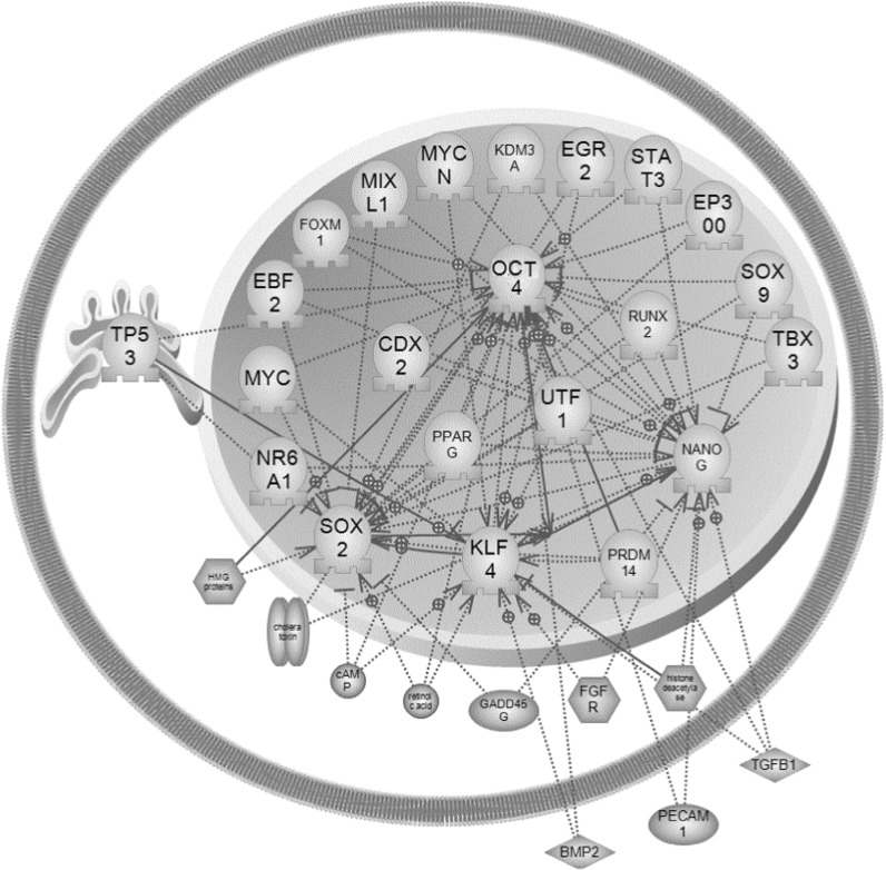 Fig. 11