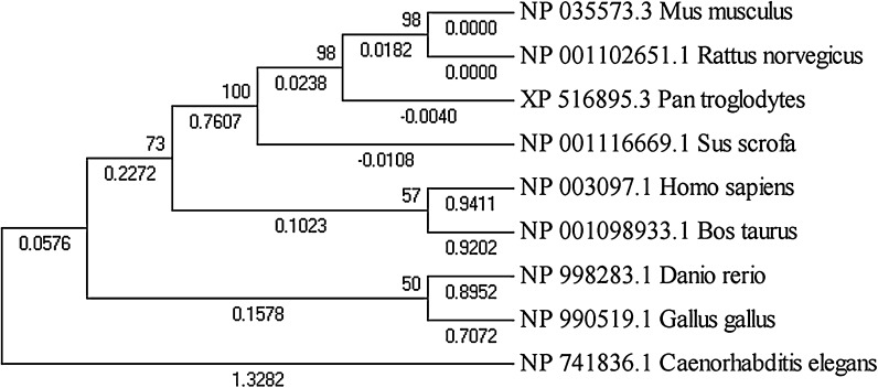 Fig. 4