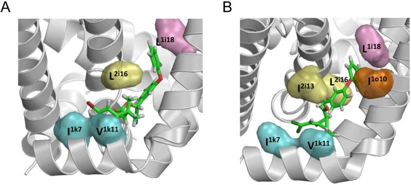 Fig. 8