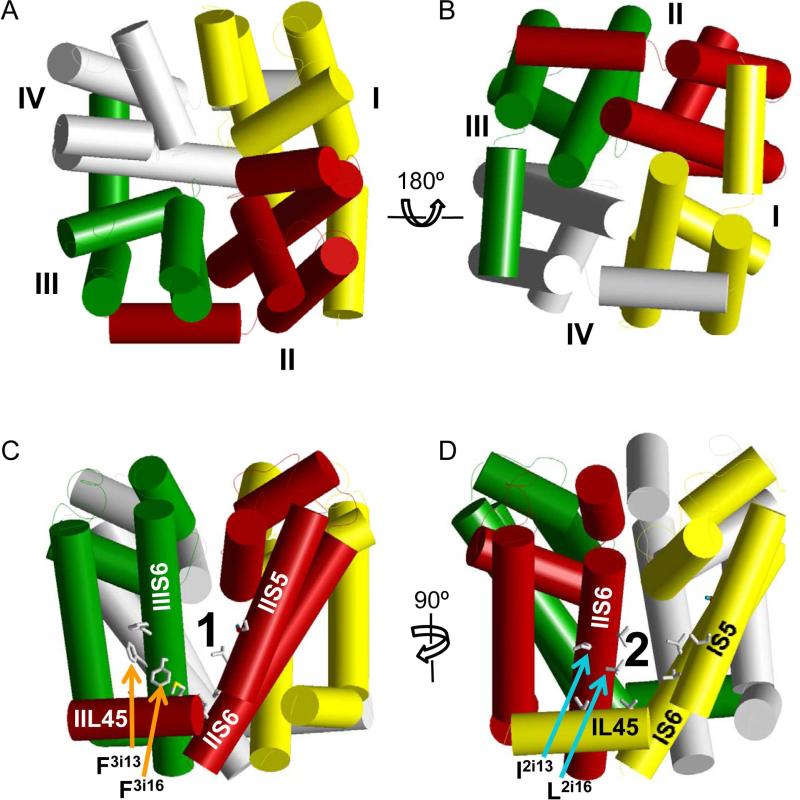 Fig. 6