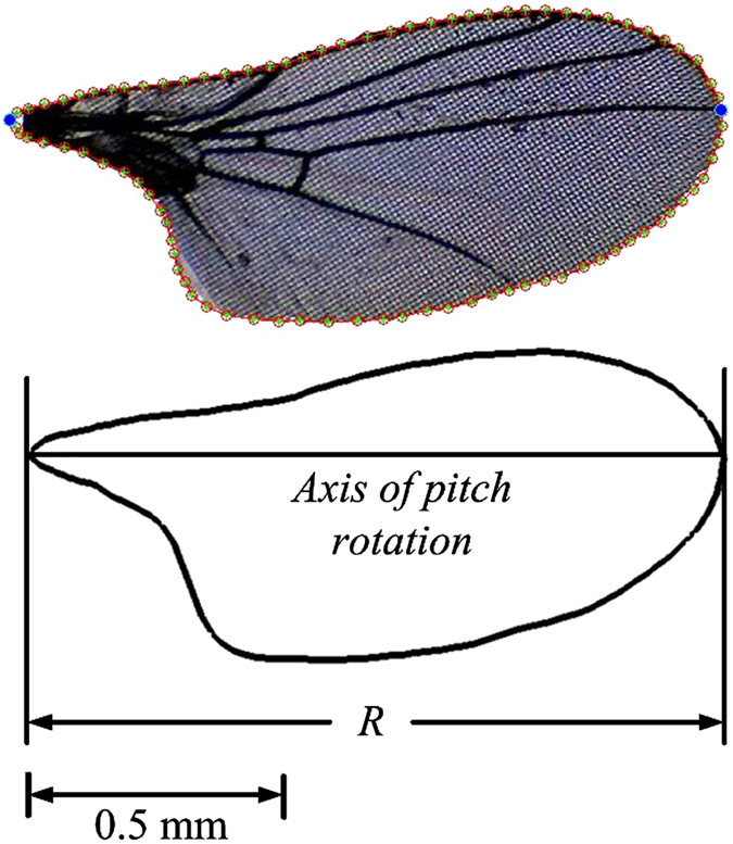 Figure 10