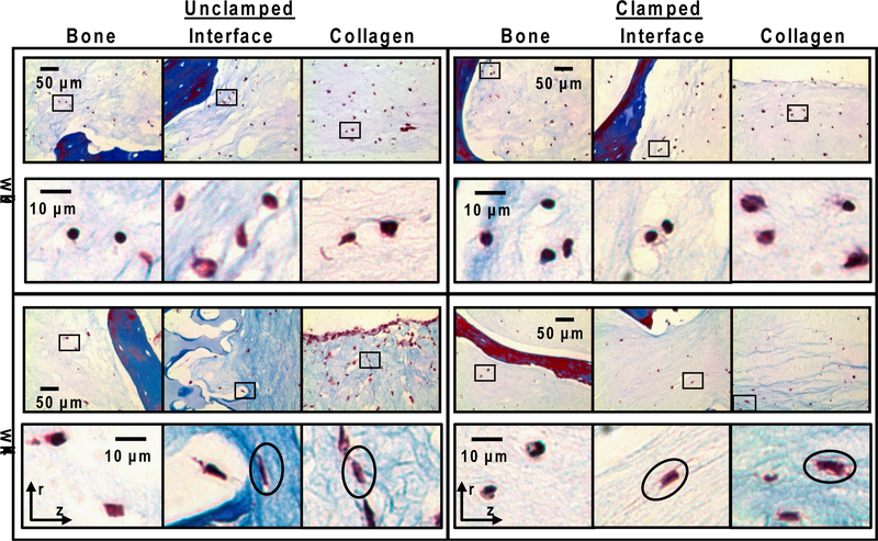 Figure 5: