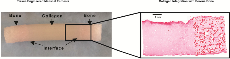 Figure 7: