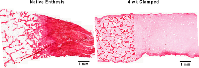 Figure 3: