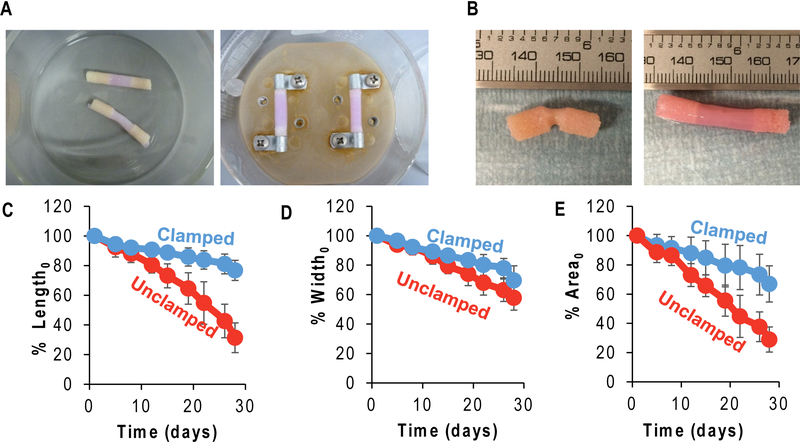 Figure 2: