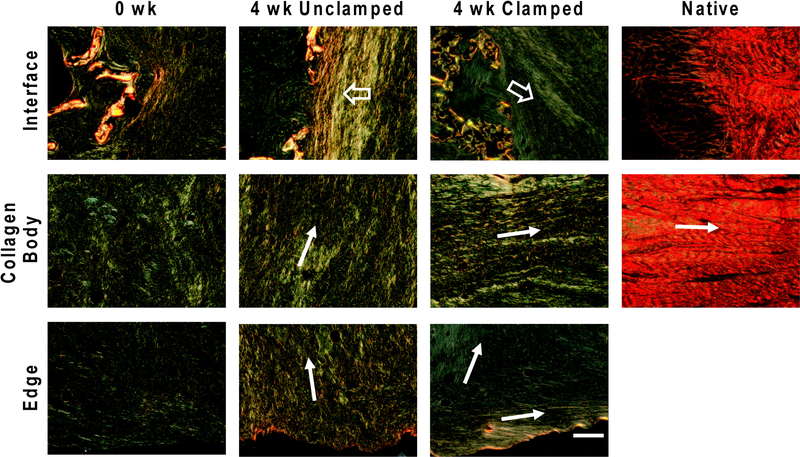 Figure 4: