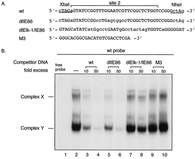 FIG. 7