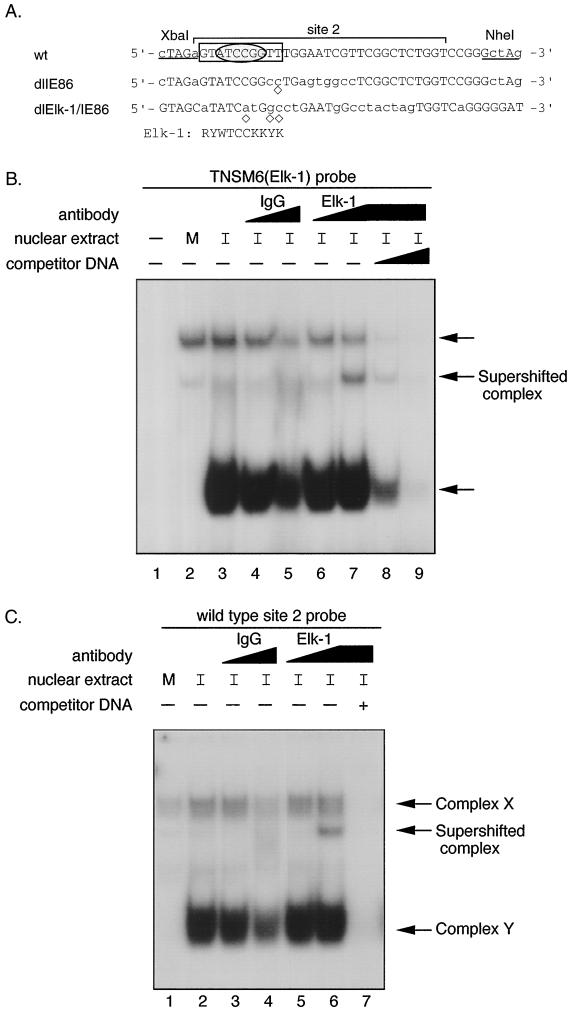 FIG. 8