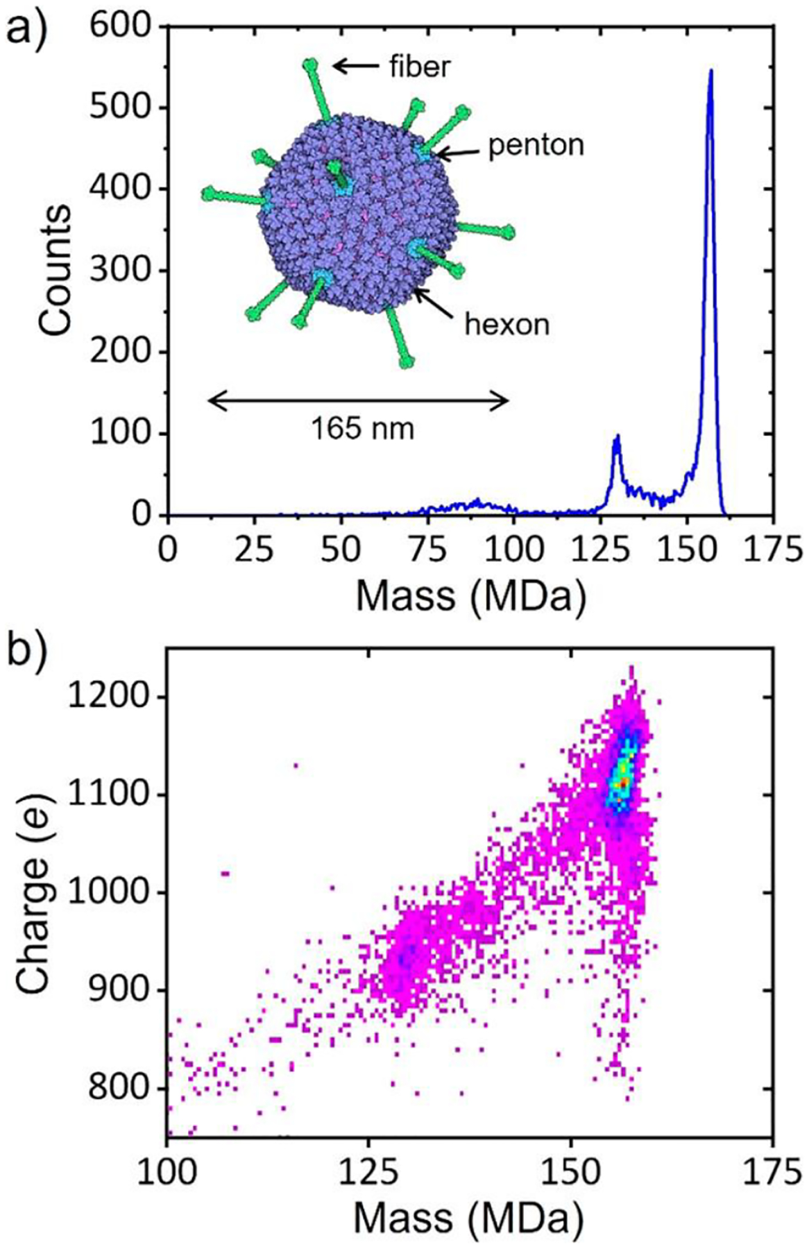 Figure 11.