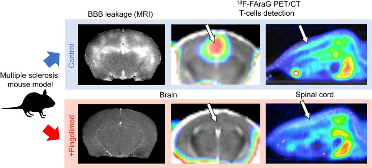 graphic file with name jnumed.120.259325absf1.jpg