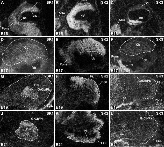 Figure 13