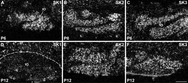 Figure 15