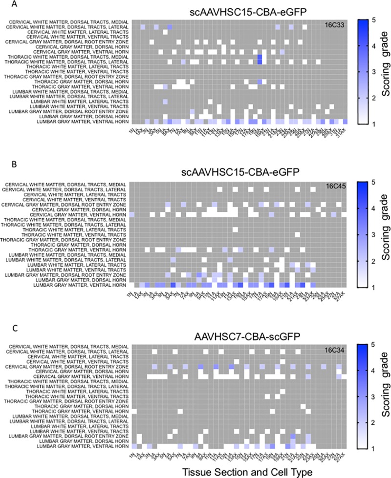 Fig 11