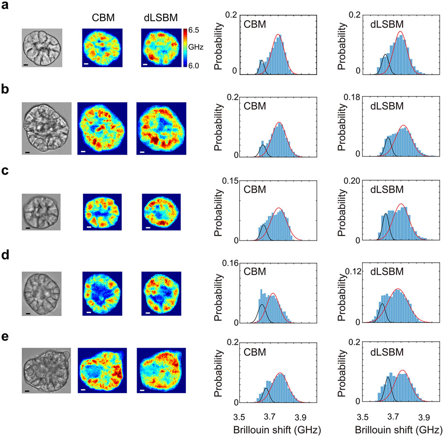 Extended Data Fig.7.