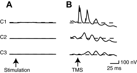 FIG. 9.