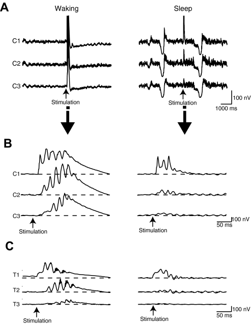 FIG. 8.