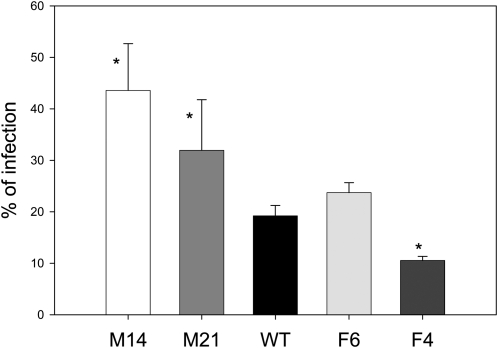 Figure 6.