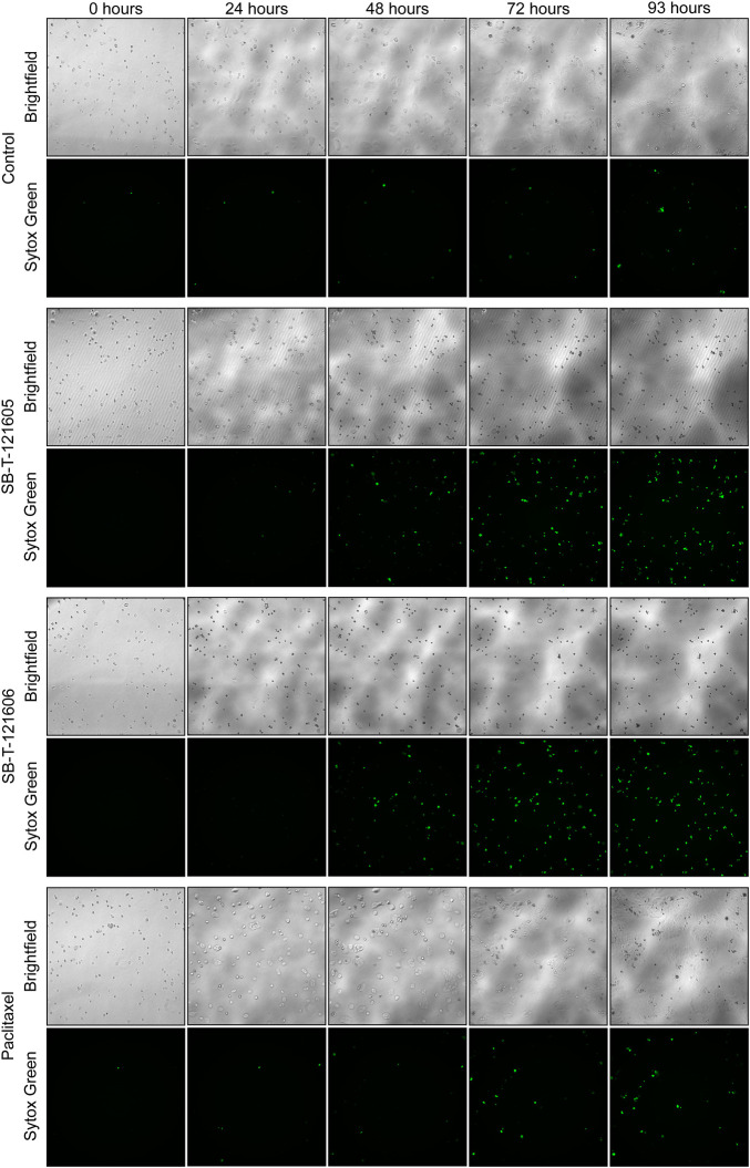 FIGURE 4