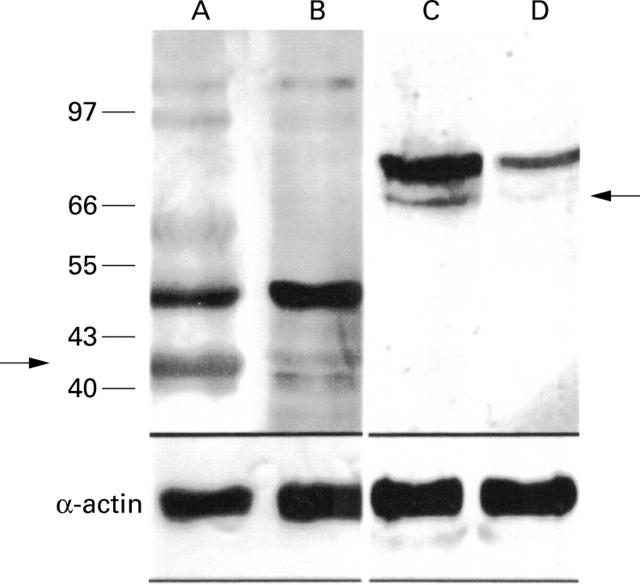 Figure 3  