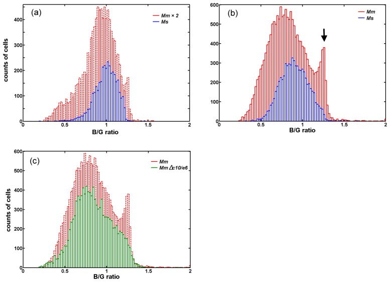 Fig. 7