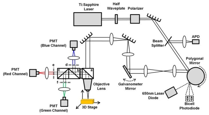 Fig. 1