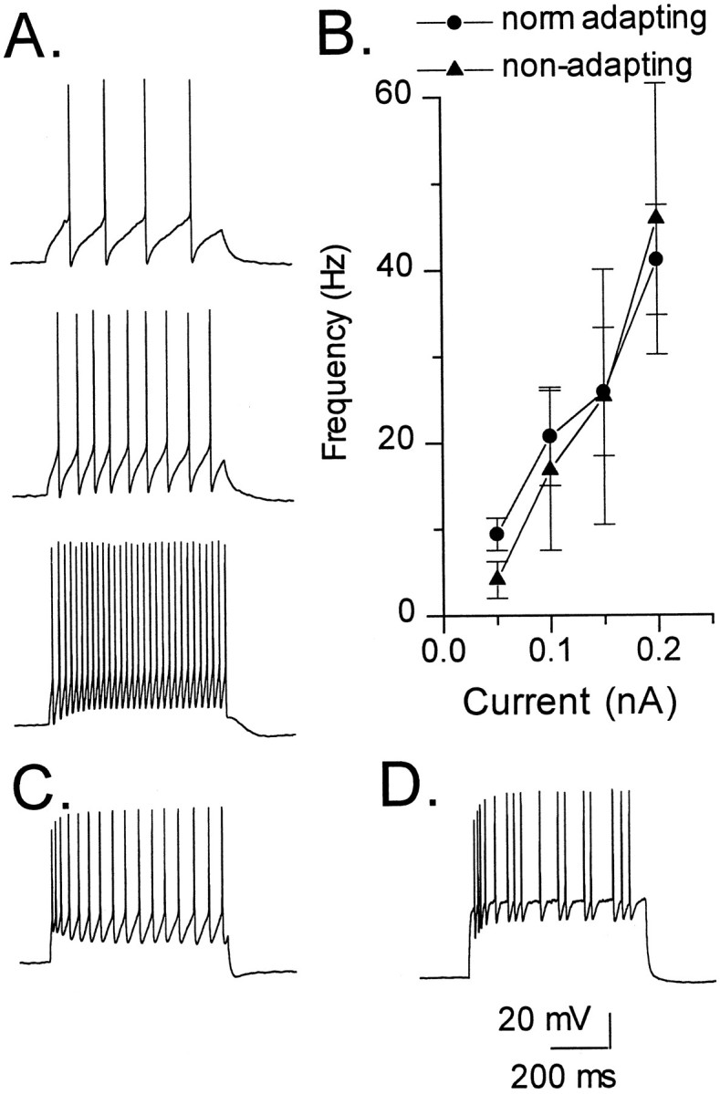 Fig. 11.