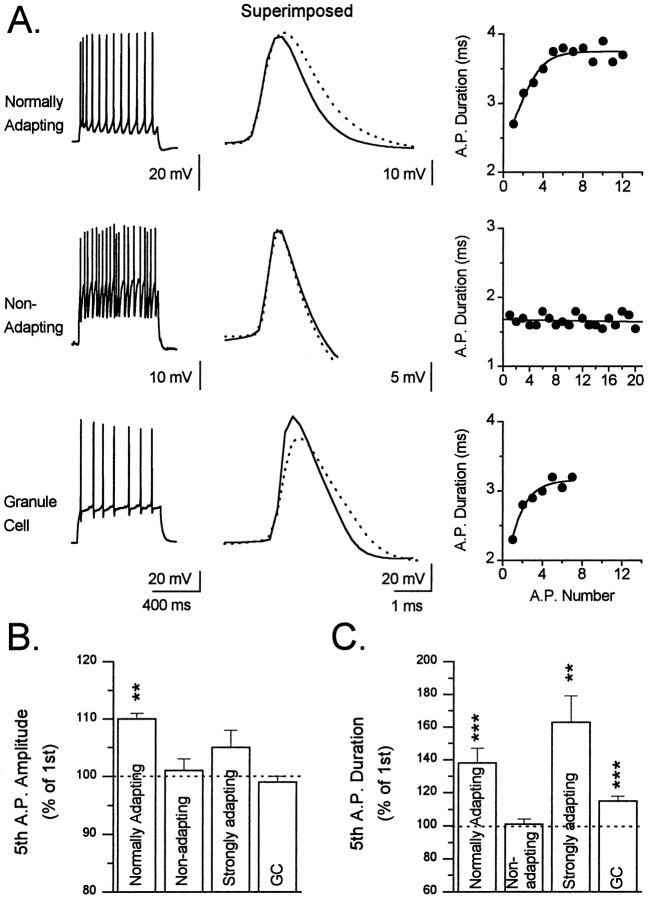 Fig. 8.