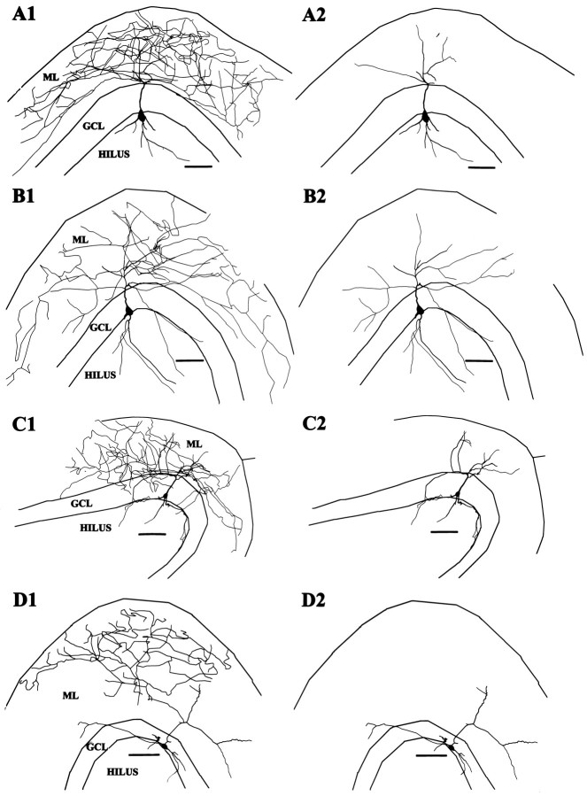 Fig. 5.