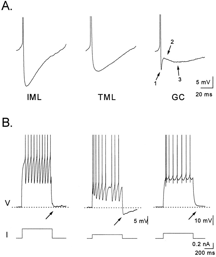 Fig. 10.