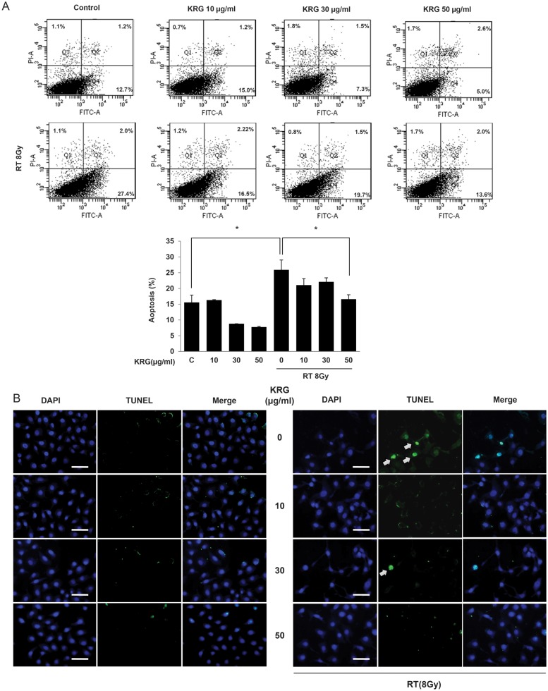 Figure 5: