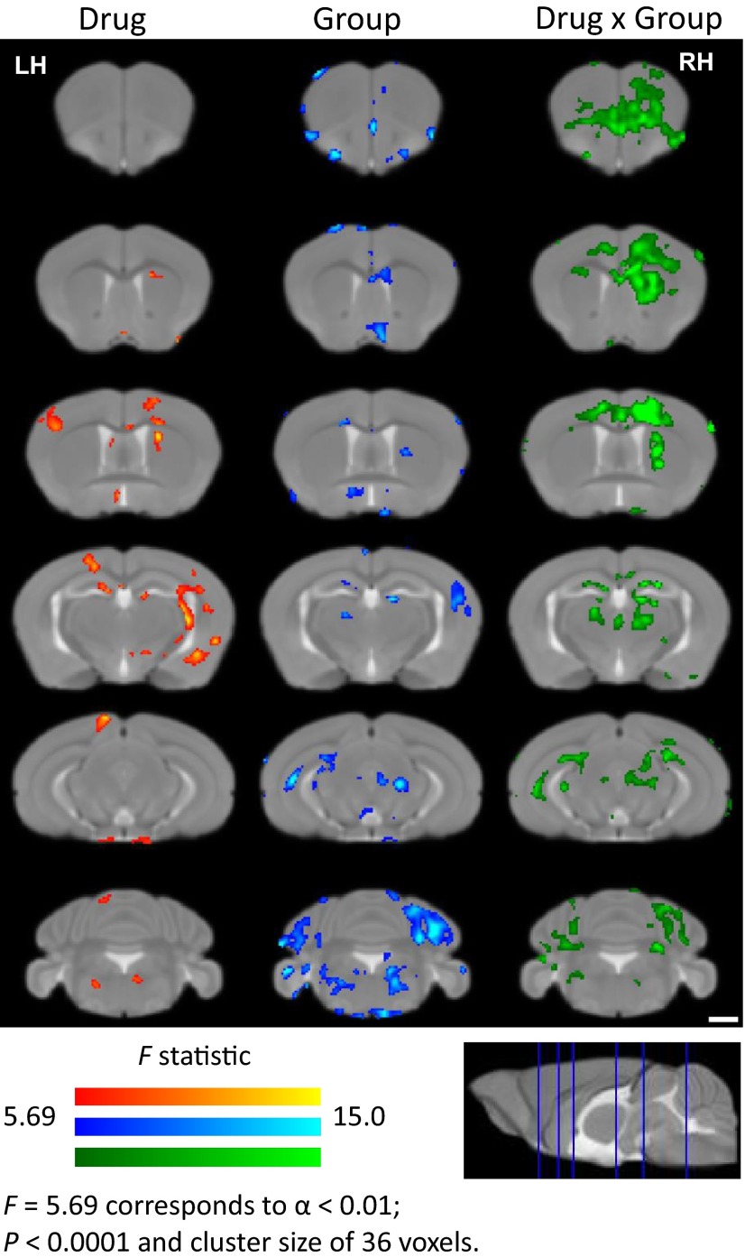 Fig. 5.