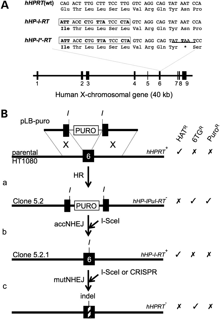 Figure 3.