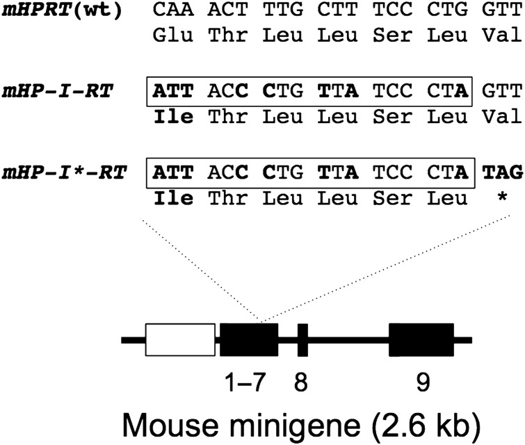 Figure 1.