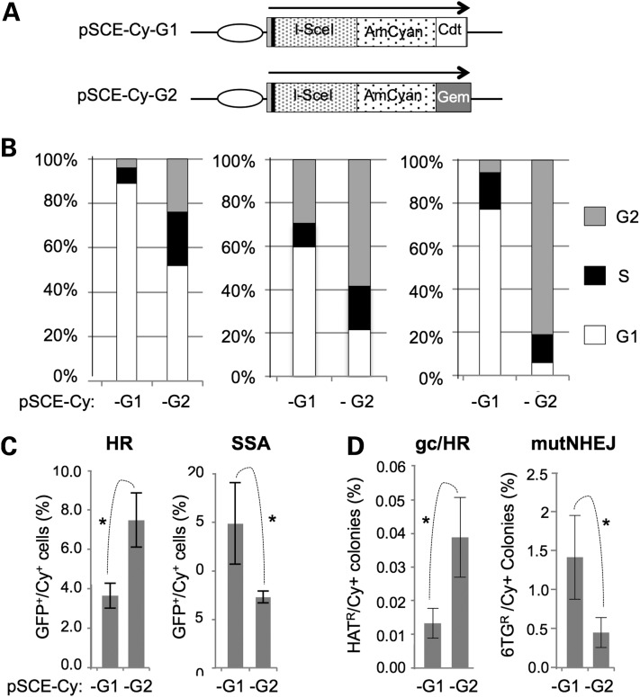 Figure 6.