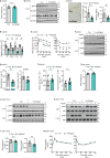 Extended Data Figure 5