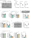 Extended Data Figure 6