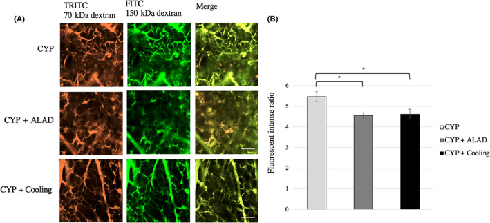 FIGURE 4