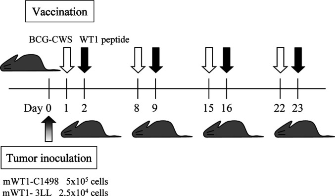 Fig. 1