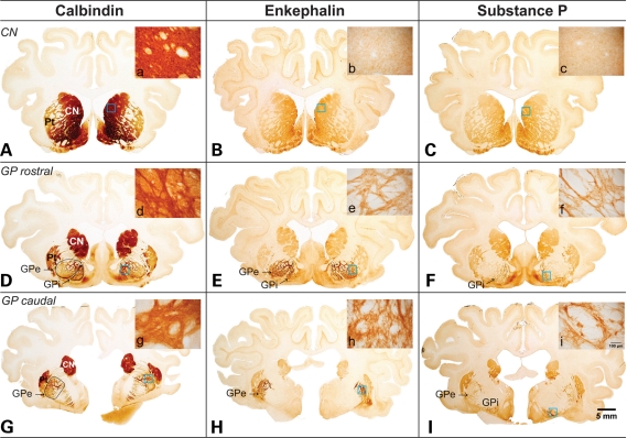 Figure 4.