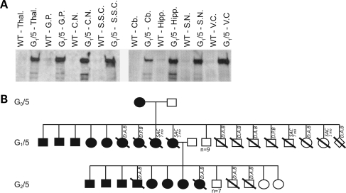 Figure 3.