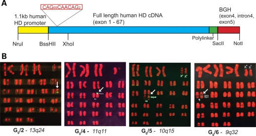 Figure 1.