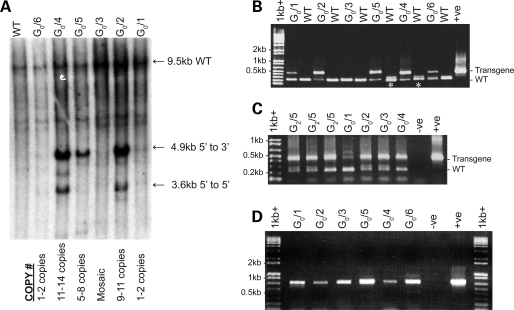 Figure 2.