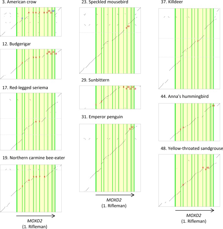 Fig 3