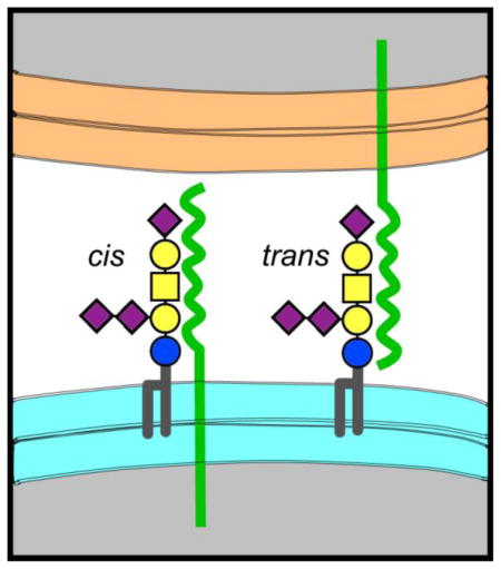 graphic file with name nihms792059u1.jpg