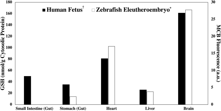 Fig. 9