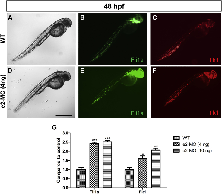 Figure 7