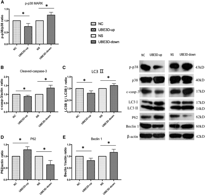 Figure 12