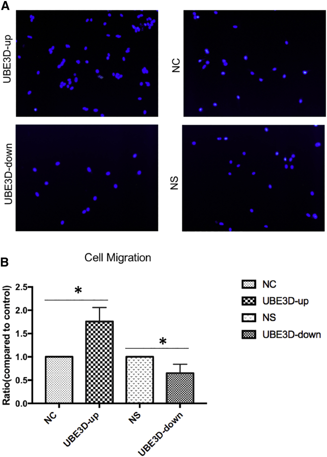 Figure 11